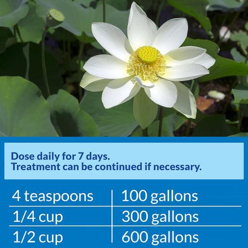 API POND PIMAFIX Antifungal Pond Fish Infection Remedy, 64-Ounce Bottle