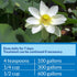 API POND PIMAFIX Antifungal Pond Fish Infection Remedy, 64-Ounce Bottle