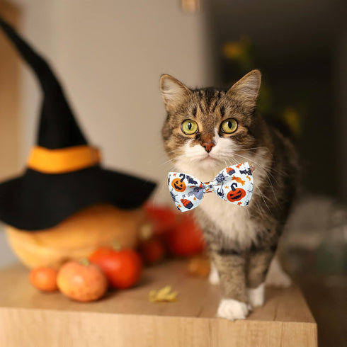 Halloween Cat Collar with Bell, 2 Pack Holiday Jack-O-Lantern and Candycorn Collar for Male Female Kittens