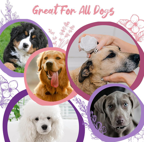Pawson Dog Shampoo Bar - Natural Pet Shampoo with Rice Water and Aloe, Puppy Essentials, Peony Vanilla Scent