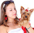 Chuangdi 16 Pieces Valentine's Day Dog Hair Bows, Mixed Styles Pet Accessories with Rubber Bands