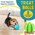 PatsFran 6 Pack 2.5" Puppy Toys for Teething, Interactive Dog Toys, Squeaky Dog Balls and Treat Balls, Dog Chew Toys