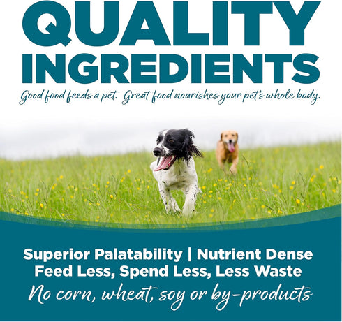 NutriSource Adult Dog Food, Dry Dog Food with Chicken and Rice, Wholesome Grains, 1.5LB