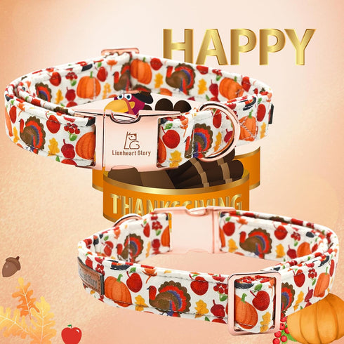Turkey Dog Collar with Flower - Lionheart Glory Thanksgiving Pet Collar for Medium Dogs