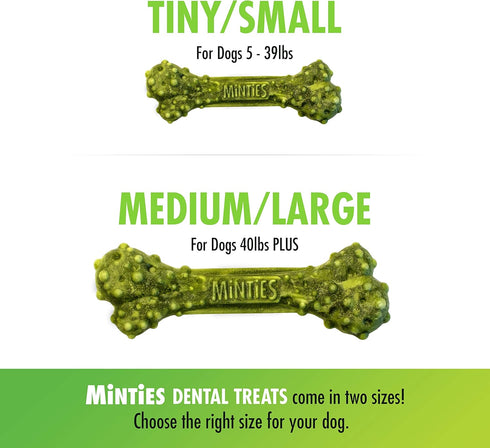 VetIQ Minties Dog Dental Bone Treats - Dental Chews for Tiny/Small Dogs under 40 lbs, 80 Treats