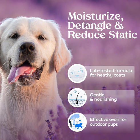 PAWFUME Dog Detangler Grooming Spray, Royal Lavender, 1-Pack – Hypoallergenic, Alcohol-Free, Moisturizing for Coat Care