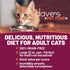 Dave's Pet Food Grain Free Wet Cat Food (Beef & Chicken Pate), 12.5 oz Cans (Case of 12), Made in USA with Added