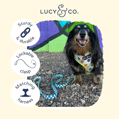 Lucy & Co. Designer Dog Leash - Thick Pet Accessories with Padded Handle, Purple with Green Floral - 5 Foot (Lime Green