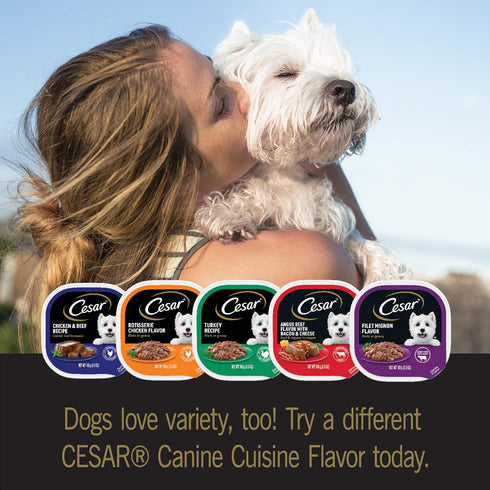 CESAR BACKYARD COOKOUT Adult Wet Dog Food Classic Loaf in Sauce Variety Pack, 12 Trays, 3.5 oz Each