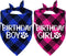 STMK 2 Pack Dog Birthday Bandana, Plaid Triangle Scarf for Birthday Boy Girl Dogs