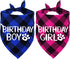 STMK 2 Pack Dog Birthday Bandana, Plaid Triangle Scarf for Birthday Boy Girl Dogs