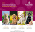 NaturVet ArthriSoothe-Gold Level 3 Joint Care for Dogs, Soft Chew Supplement with Glucosamine, 180 Ct.