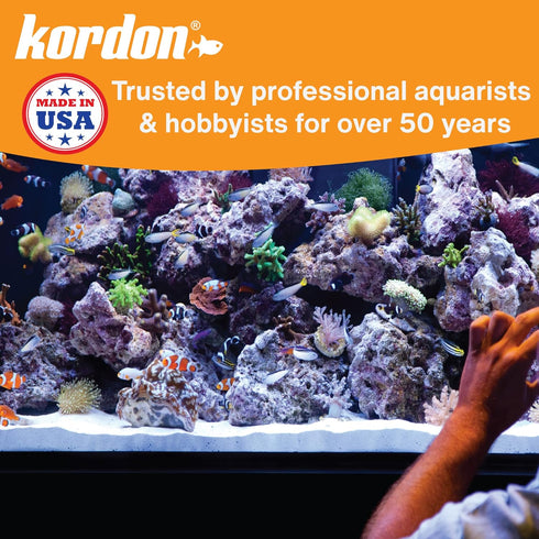 KORDON #31248 AmQuel Ammonia Control, Detoxifies Chloramine for Aquarium, 8-Ounce