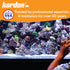 KORDON #31248 AmQuel Ammonia Control, Detoxifies Chloramine for Aquarium, 8-Ounce