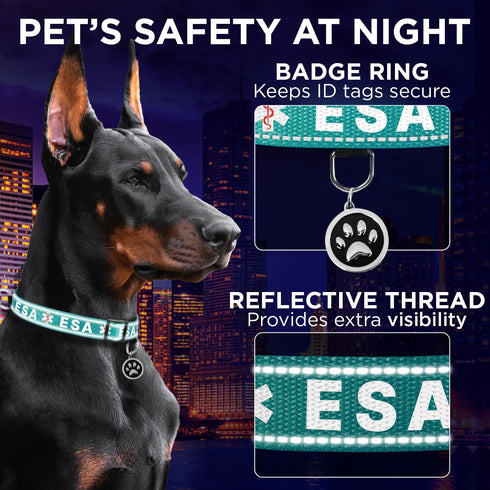 TECEUM Reflective Teal Pet Collar, M, Extra Soft Padding, Basic Nylon Dog Collar with Quick Release Buckle