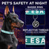 TECEUM Reflective Teal Pet Collar, M, Extra Soft Padding, Basic Nylon Dog Collar with Quick Release Buckle