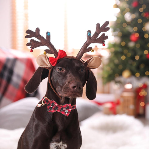 ADOGGYGO Christmas Dog Collar with Bow Tie, Adjustable Red Green Plaid Pet Christmas Collars for Medium Dogs