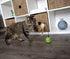 (2 Count) (2) 2 Count SmartKat Feather Whirl Electronic Motion Wand Cat Toys, Includes Extra Wands, Battery Powered