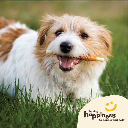 Pet 'n Shape Hide Twists, Chicken Wrapped Rawhide Dog Treats, Small Twist, 2 Pounds