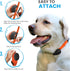 Nylon Replacement Collar, Shock Collar Replacement for Extreme Dog Fence & Invisible Fence, Fits Most PetSafe Collars