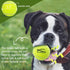 Dog Tennis Balls - 12 Pack Squeaky Interactive Toys for Training, Indoor Outdoor Play, 2.5" Rubber Balls for All Sizes