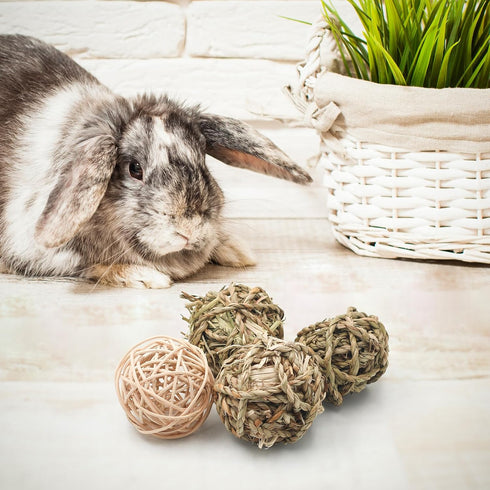 Bac-kitchen 17 Chinchillas (2.4") Pcs Bunny Chew Grass Balls, Hangable Natural Handmade Enrichment Toys for Teeth