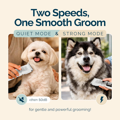 2 Trimmer 6 Trimmer Dog Grooming Kit - Power Modes Quiet & Strong, Cordless Dog Clippers for Grooming & Dogs Hair