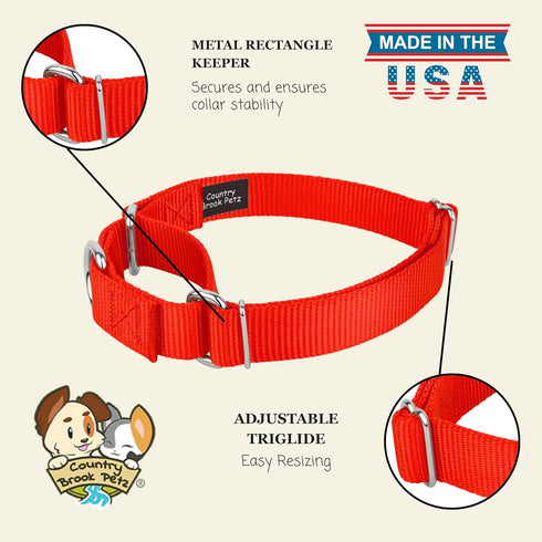 Country Brook Petz Martingale Dog Collar - Heavy-Duty No Buckle Training Collar for All Pups (Hot Orange, 1 Inch, Large)