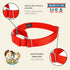 Country Brook Petz Martingale Dog Collar - Heavy-Duty No Buckle Training Collar for All Pups, Hot Orange, 1 Inch, Medium