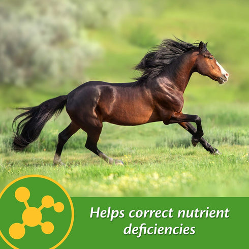 3 lb, 96 Farnam Vita-Min E & Selenium Antioxidant Supplement for Horses, Horse Vitamin E Supplement, Muscle Health