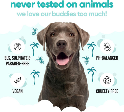 Buddycare B5 (33.8oz) Tropical Dog Shampoo by | Deep Cleansing Shampoo for Dogs | Tropical Scented | with Aloe Vera