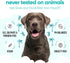 Buddycare B5 (33.8oz) Tropical Dog Shampoo by | Deep Cleansing Shampoo for Dogs | Tropical Scented | with Aloe Vera