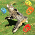 18 5 Sumind Pieces Interactive Cat Fetch Tracking Toys With Colors Flying Propellers for Indoor Pet Kitty Training