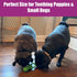 SPOT 4.5 Inch, Puppy Pacifier Latex Dog Toy Soft Binky-Shaped Chew for Teething Puppies & Small Dogs, for Light Chewers