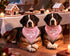 2 Pack Big Brother Dog Bandana Baby Announcement Dogs Bandanas Pink Gender Reveal Big Brother Bandana for Dog Pet Scarf