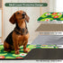 23"x36", 2 Pack Qeils Reusable Puppy Pads for Small Dogs, Washable Pee Pads with Non-Slip , Absorbent Leakproof Mat
