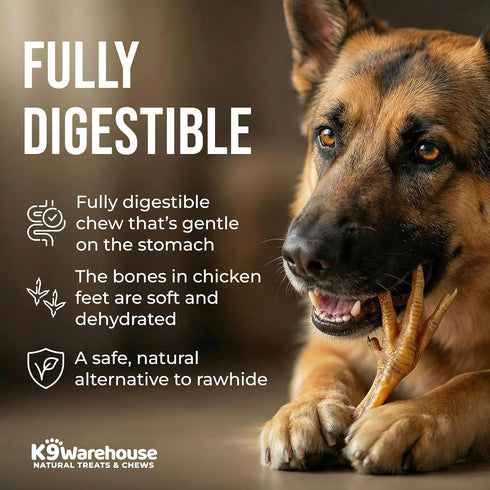 K9warehouse 30 Count, 100% Chicken Feet for Dogs - Dehydrated Chicken Dog Treats, Natural, High Protein, Single