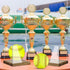 Clear Acrylic Softball Display Case with Wood Base, Memorabilia Stand Cube Holder, Dust Protection Transparent Storage