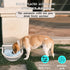 boajf 2 (1 Automatic Dog Water Dispenser with Drain Hole & Drain Valve, Stainless Steel Auto Dog Water Bowl with Float