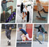 Skateboard, 31 x 8 Inch Complete Skateboard, 8-Layer Maple Wood Deck Double Kick for Kids, Teens, Adults