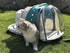 Dual Expandable Cat Backpack Carrier - Fits up to 20 lbs, Expandable Pet Carrier Backpack for Large Cats & Small Puppies