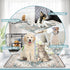 SCLOSE 2 Pack, 36" 24" Washable Pee Pads for Dogs x Reusable Puppy Pads Waterproof, Super Absorbent Dog Rugs