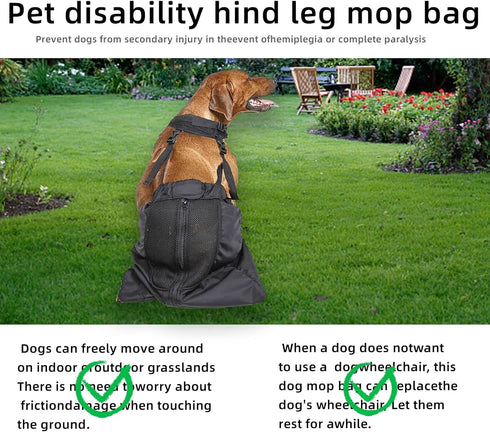 Dog Drag Bag for Paralyzed Rear Legs, Protects Chest and Limbs (X-Large)