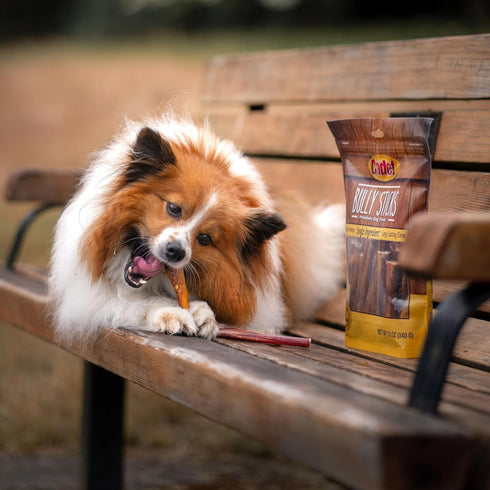 Cadet Bully Sticks for Small, Medium and Large Dogs - All-Natural Beef Pizzle, High Protein, Low Fat, 8 Ounce