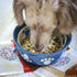 100% 7oz HOLI Freeze Dried Chicken Dog Food Topper - Single Ingredient, Human-Grade Lean Chicken Breast - Dog Food