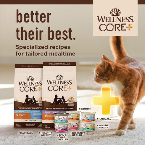 Wellness CORE+ Hairball Grain-Free High Protein Adult Dry Cat Food, Chicken and Chicken Meal Recipe, 4.75 Pound Bag