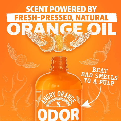 8 oz. (4) 32oz. 1 Angry Orange Pet Odor Eliminator bottle- Industrial Strength Pet Odor Remover - Makes Bottles