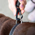 6 Foot Dog Leash with 2 Extra Padded Handles - Heavy Duty No Pull Rope Lead with Lockable Carabiner for Medium to Large
