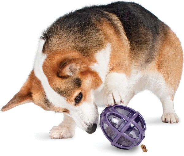 PetSafe Busy Buddy Kibble Nibble Dog Toy - Treat and Food Dispenser - Small Slow Feeder