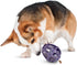 PetSafe Busy Buddy Kibble Nibble Dog Toy - Treat and Food Dispenser - Small Slow Feeder